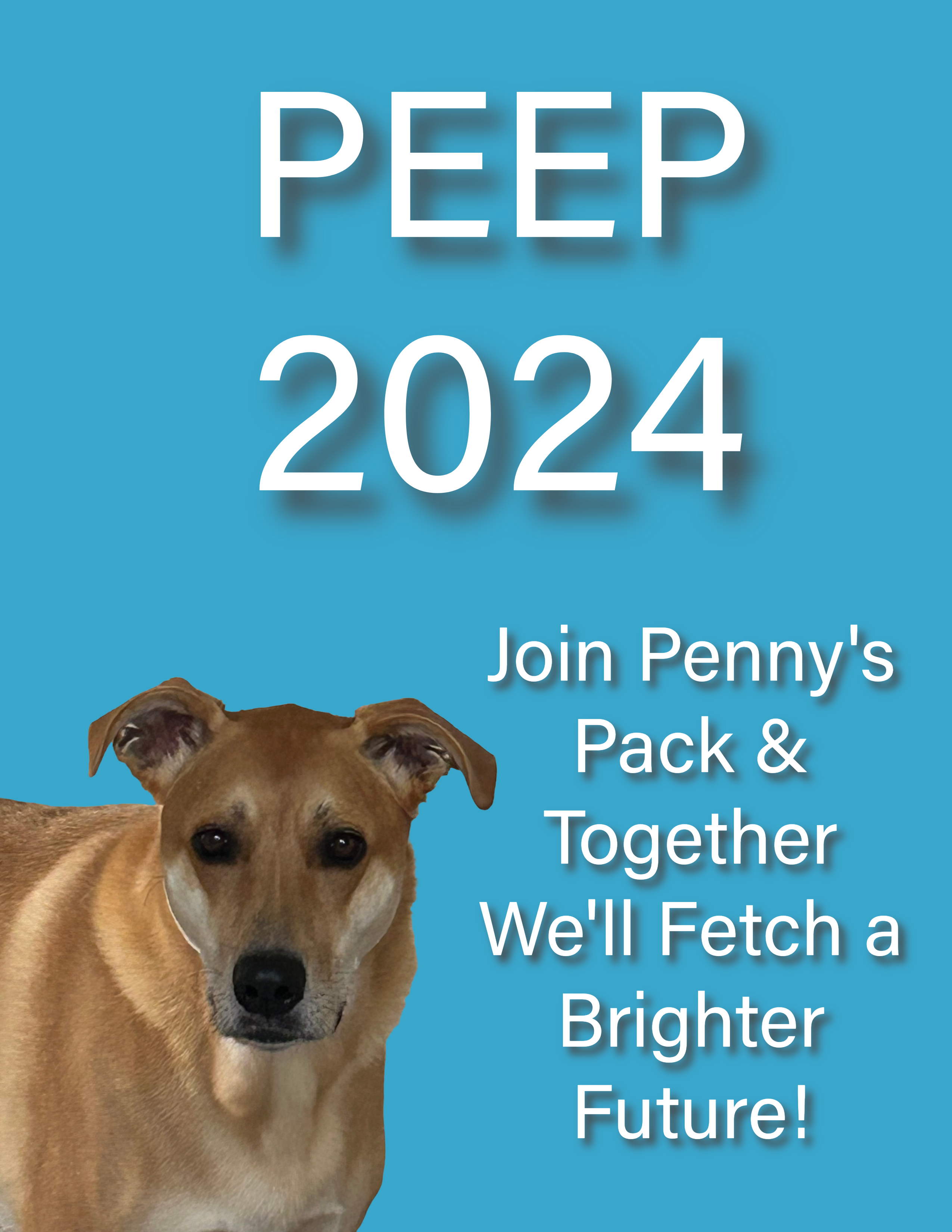 Peep 2024